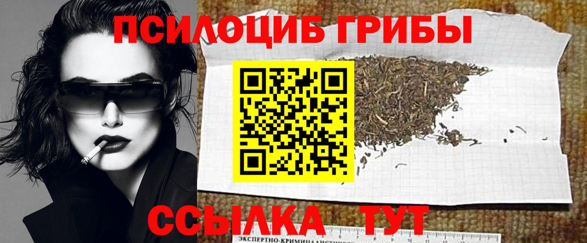 Псилоцибиновые грибы GOLDEN TEACHER  Вход с VPN  Нурлат  Галлюциногенные грибы MAGIC MUSHROOMS 
